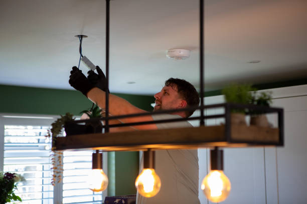 Best 24-Hour Electrician  in Raymond, IL